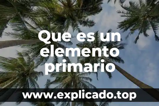Qué es un cloroplasto primario 3 Que es un elemento primario