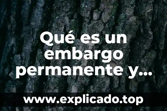 Que es el establecimiento permanente en mexico 7 Qué es un embargo permanente y precautorio en materia fiscal