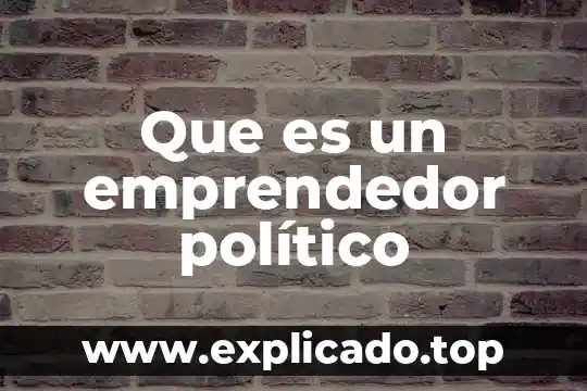 Que es un programa de accion de un partido politico 8 Que es un emprendedor político