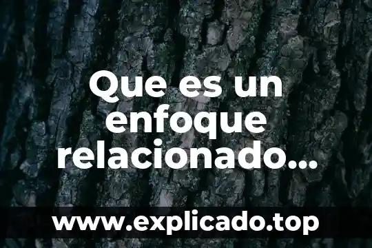 Que es un programa de turismo 7 Que es un enfoque relacionado con turismo
