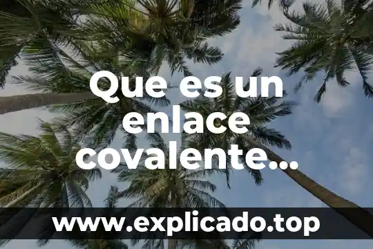 Que es una puerta de enlace predeterminada en informatica 7 Que es un enlace covalente polar y ejemplos