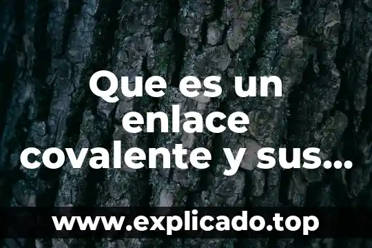 Que es una puerta de enlace predeterminada en informatica 3 Que es un enlace covalente y sus principales caracteristicas