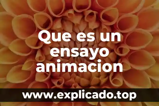 Que es la materia de animacion 8 Que es un ensayo animacion