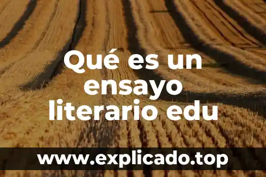 Qué es un gradiente cálculo vectorial edu 3 Qué es un ensayo literario edu