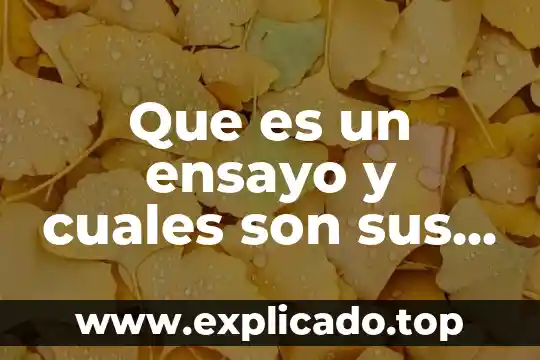 Que es un ensayo y cuales sonses partes 8 Que es un ensayo y cuales son sus usos