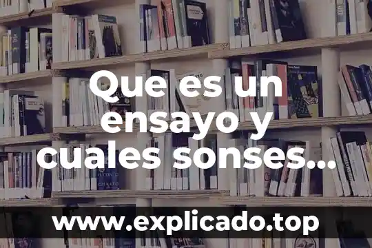 Que es un atomo y cuales son sus elementos 8 Que es un ensayo y cuales sonses partes