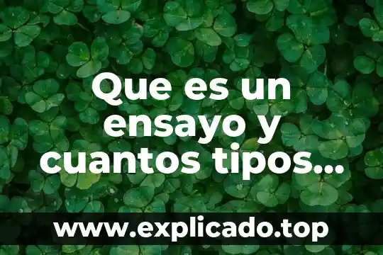 Que es un ensayo y cuantos tipos de ensayos hay