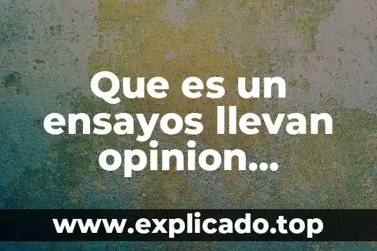 Que es una opinión con ejemplos 4 Que es un ensayos llevan opinion personal