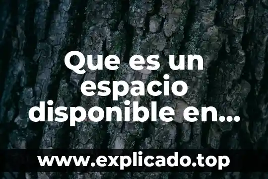 Que es un espacio historico de axtla de terrazas 7 Que es un espacio disponible en informatica