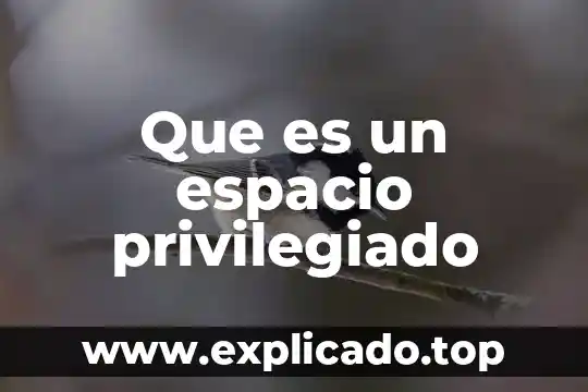 Investigación que es espacio 3 Que es un espacio privilegiado
