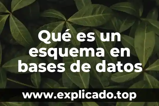 Que es bases de datos en word 8 Qué es un esquema en bases de datos