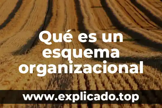 Que es una delegacion en la dimension organizacional 5 Qué es un esquema organizacional