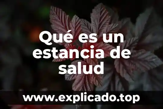 Que es una estancia en programacion 3 Qu茅 es un estancia de salud