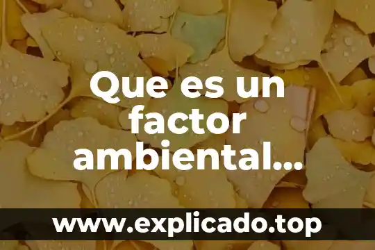 Que es el factor cinetico en quimica 4 Que es un factor ambiental ejemplos