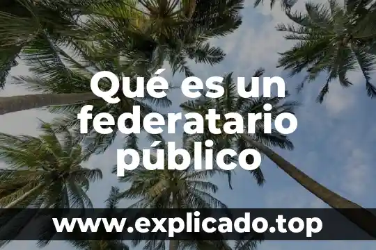 Que es registrador público 6 Qué es un federatario público
