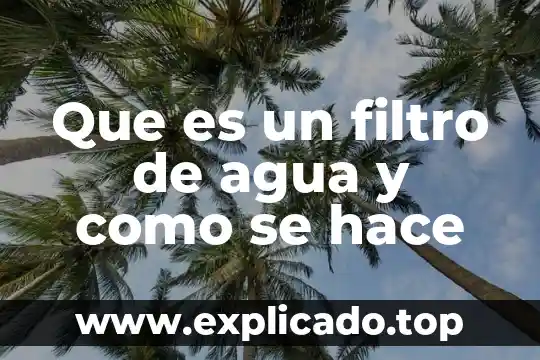 ¿Qué es un fluido en corriente de agua? 8 Que es un filtro de agua y como se hace