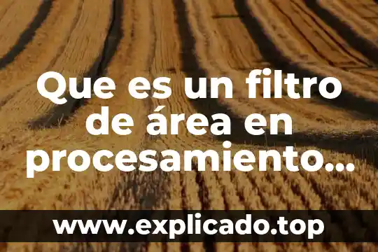 Qué es el filtro de gasolina y función 3 Que es un filtro de área en procesamiento de imágenes