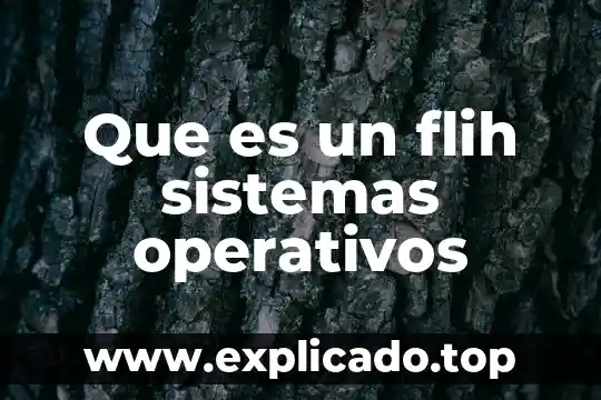 Que es overlays en sistemas operativos 6 Que es un flih sistemas operativos