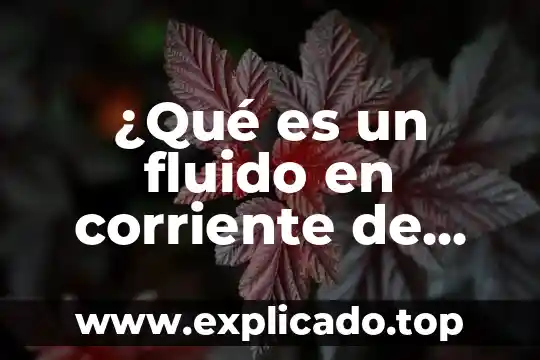 Que es suspender en el agua 5 ¿Qué es un fluido en corriente de agua?