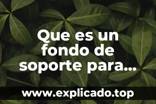 Que es analisis contable 3 Que es un fondo de soporte para una cuenta contable