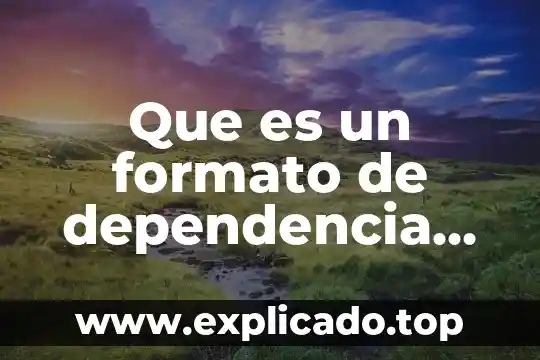 Para que es el formato ds 5535 4 Que es un formato de dependencia económica