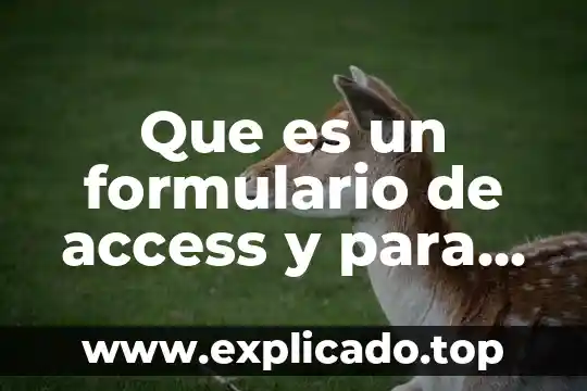 Qué es un formulario en base de datos 4 Que es un formulario de access y para que sirve
