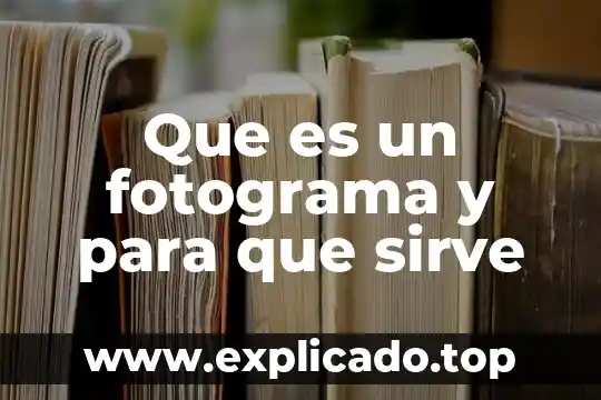 Que es la inversion extranjera directa bilateral 3 Que es un fotograma y para que sirve