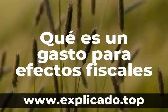 Acepciones de conciencia que es 3 Qué es un gasto para efectos fiscales