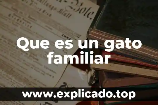 ¿Qué es más rápido, un gato o un perro? 3 Que es un gato familiar