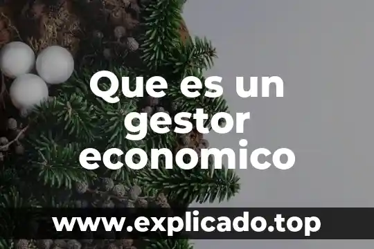 Qué es intercambio en derecho económico 3 Que es un gestor economico