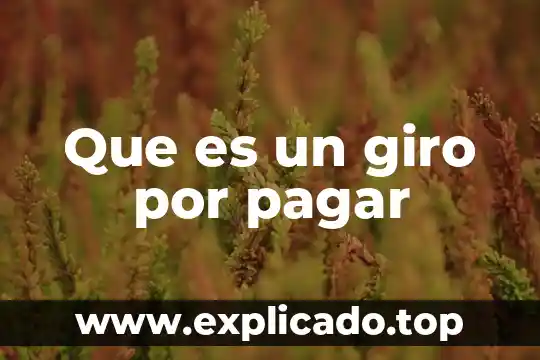 Que es un giro por pagar