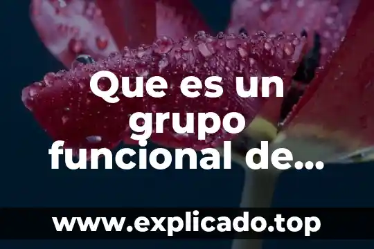 Qué es un grupo isógeno en el cartílago 7 Que es un grupo funcional de las moleculas biologicas