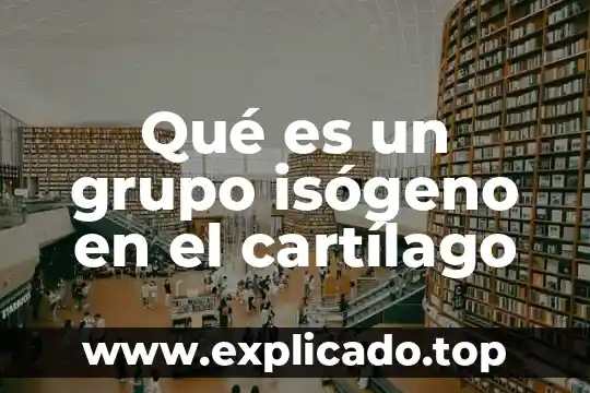 Que es un grupo funcional de las moleculas biologicas 6 Qué es un grupo isógeno en el cartílago
