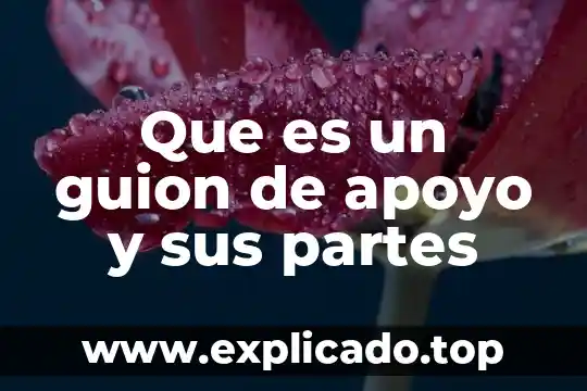 El apoyo social que es 4 Que es un guion de apoyo y sus partes