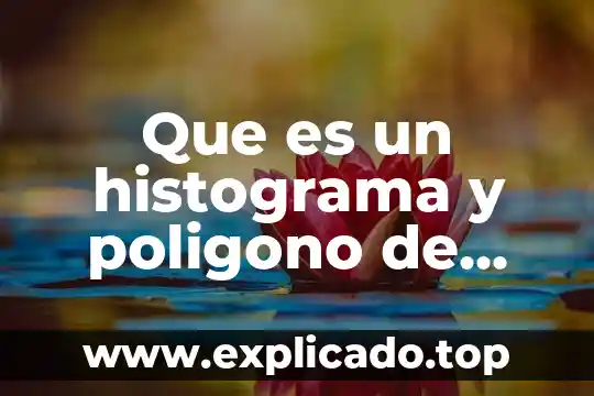 Que es una porcion en estadistica 6 Que es un histograma y poligono de frecuencia en estadistica