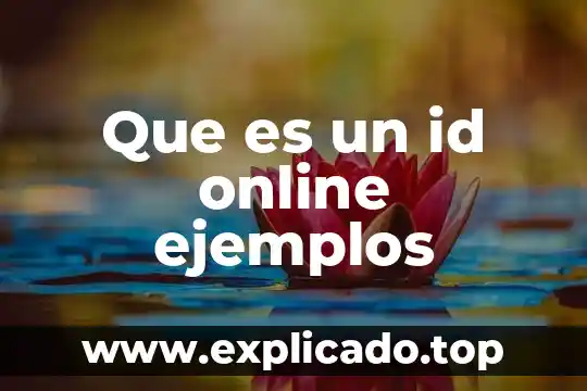 Prueba cluster a que es 4 Que es un id online ejemplos