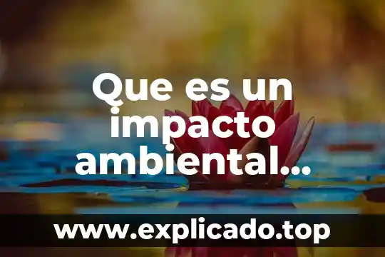 Que es la complejidad ambiental número de interfases externas 8 Que es un impacto ambiental secundario y terciario