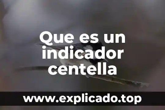 Que es el indicador de competitividad wef 5 Que es un indicador centella