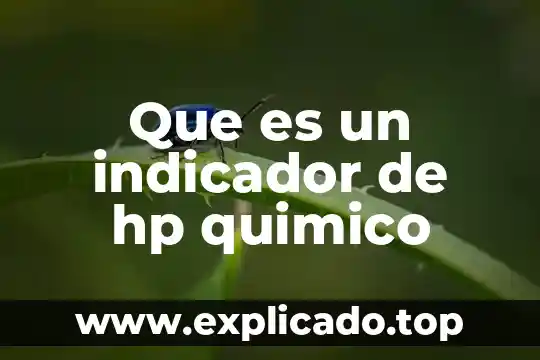 Que es quimico para la materia de formacion 5 Que es un indicador de hp quimico
