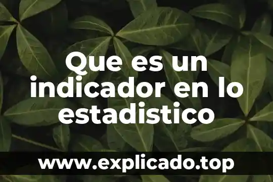 Qué es el régimen estadístico 4 Que es un indicador en lo estadistico
