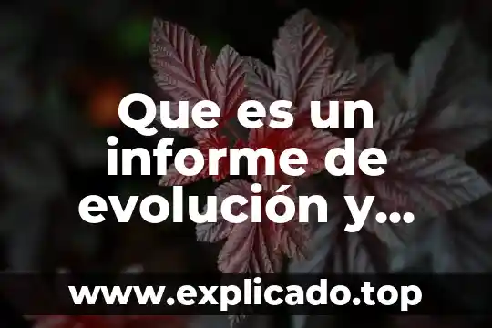 Que es la creacion de un informe en mysql 5 Que es un informe de evolución y avances