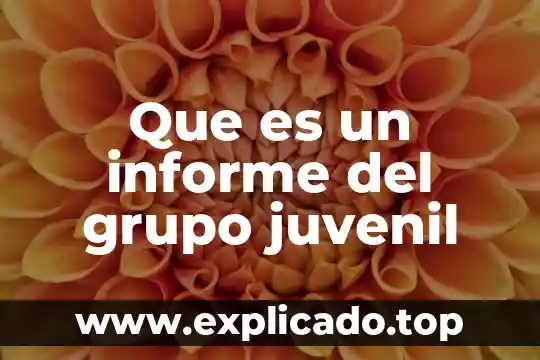 Que es acción juvenil 6 Que es un informe del grupo juvenil