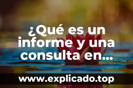 Que es una consulta electronica que es 3 ¿Qué es un informe y una consulta en BD?