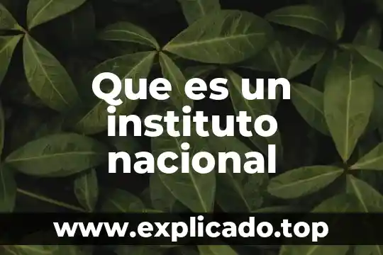 Que es la geriatria segun el instituto nacional de geriatria 5 Que es un instituto nacional