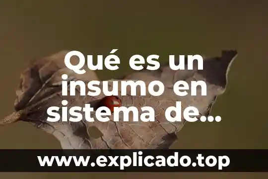 Que es el sistema de conversiones en informatica 5 Qué es un insumo en sistema de computación