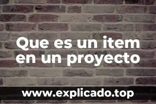 Qué es un proyecto prevenir de enfermedades 7 Que es un item en un proyecto