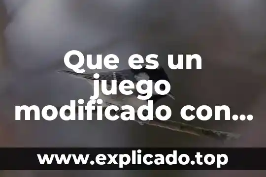 Que es un juego modificado y adatado 3 Que es un juego modificado con reglas roles e imprentos