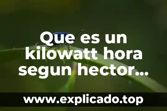 Que es lixiviación del cromo que efectos tiene 3 Que es un kilowatt hora segun hector perez montiel