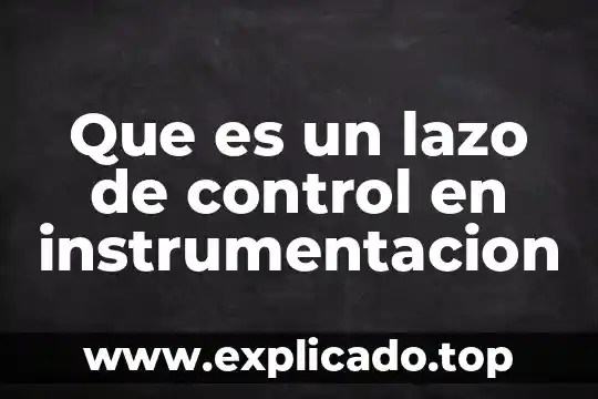 Control entomológico que es 4 Que es un lazo de control en instrumentacion