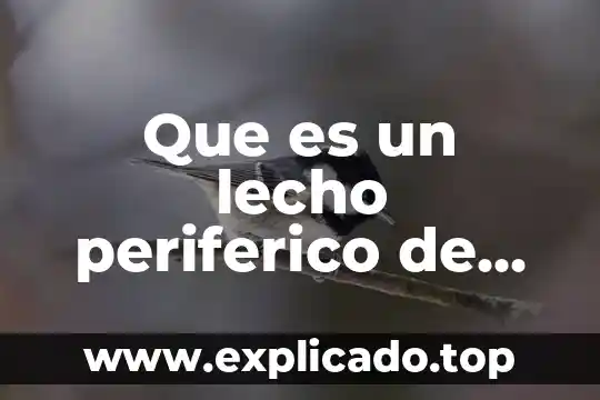 Que es impedimento de salida 5 Que es un lecho periferico de salida